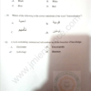 BA (Hons) Arabic 2020 - Jamia Entrance Question Paper - Image 3