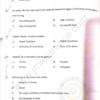 BEd Nursery Education 2020 - Jamia Entrance Question Paper - Image 2